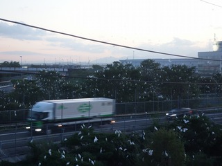 2018.8.25-1.jpg