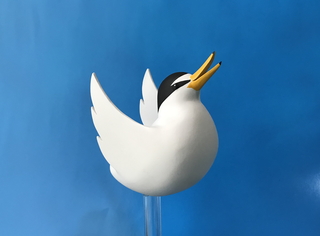 コアジサシツイッター2.jpg