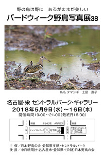 写真展DM2.jpg