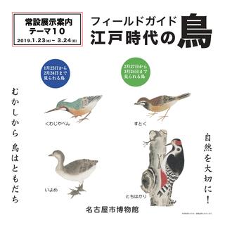 江戸時代の鳥.jpg
