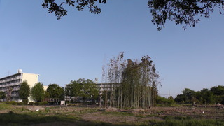 矢合町_2017.5.02.JPG