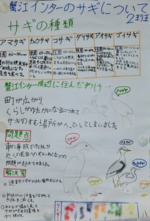3回サギ2班-1.jpg