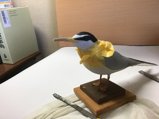IMG_0696.jpg