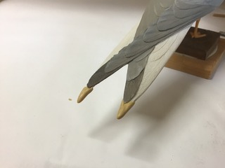 IMG_0704.jpg