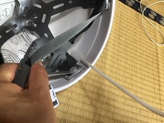IMG_1083.jpg