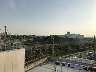 IMG_1729.jpg