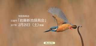 IMG_2566_nakamura940x450-2.jpg