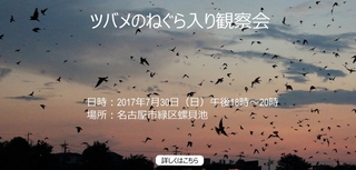 IMG_2748.jpg_nakamura940x450-1.jpg