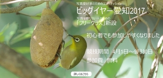 IMG_2867_nakamura940x450-3.jpg