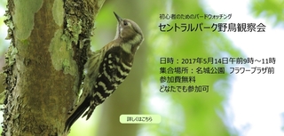 IMG_5594_nakamura940x450-1.jpg