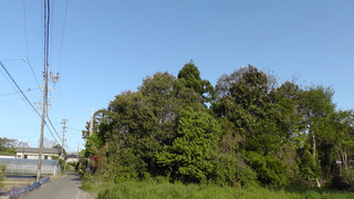 M2110012.JPG