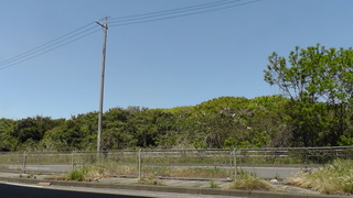 M2130005.JPG
