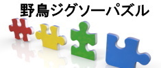 zigsopazzle_235x100.2020.5.17.jpg